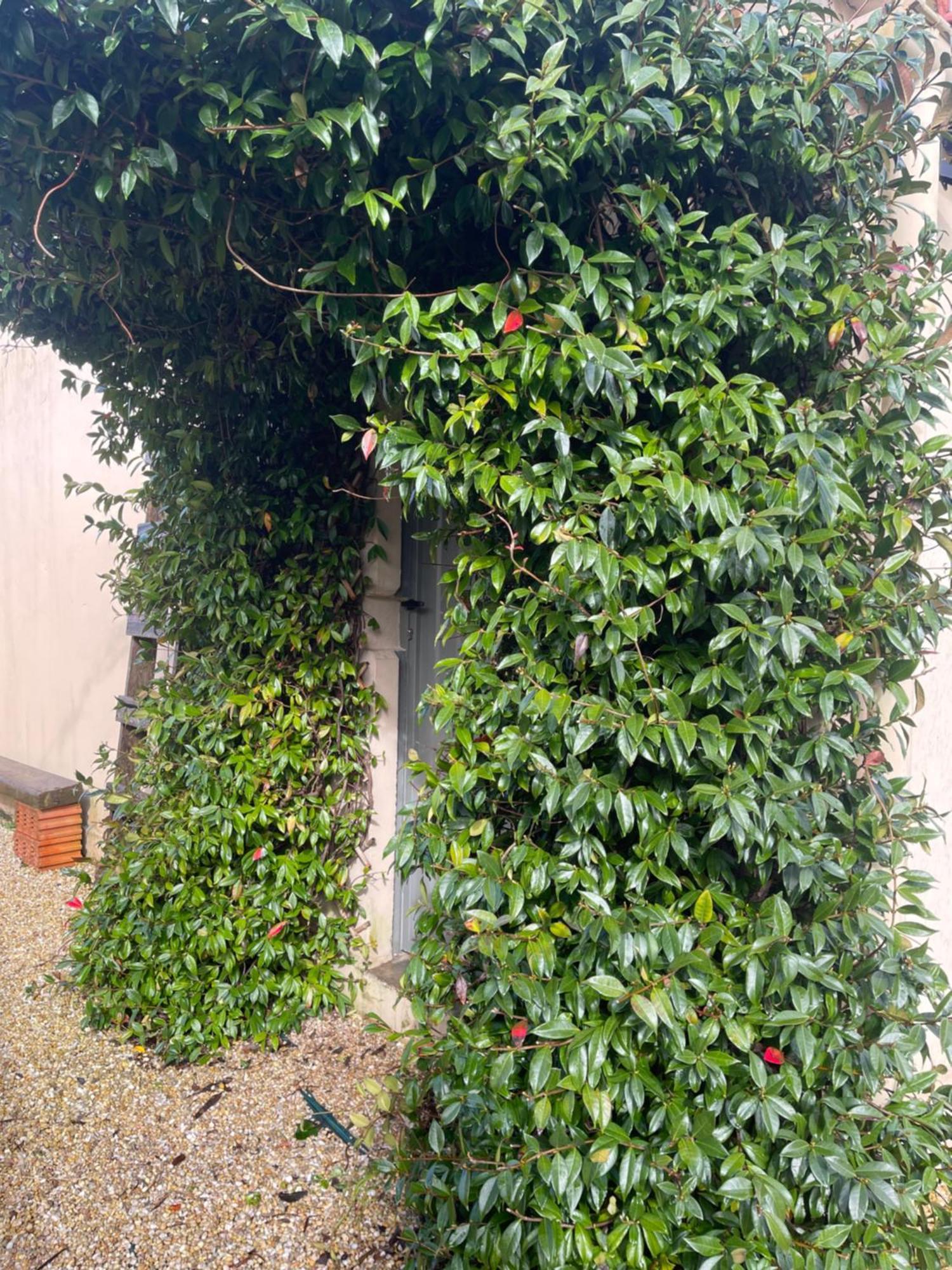 La Casa Da Pipa Holiday home *