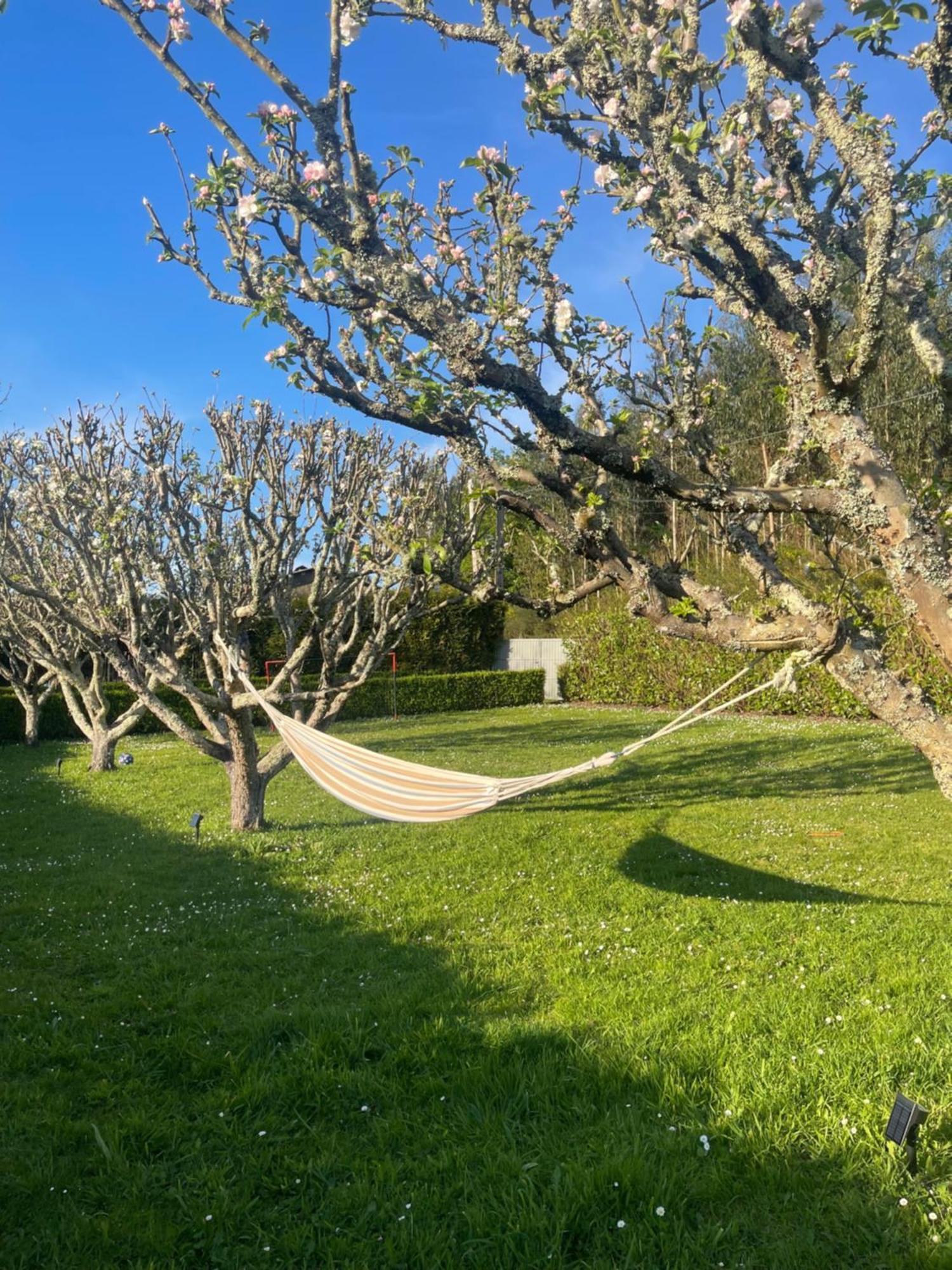 La Casa Da Pipa *